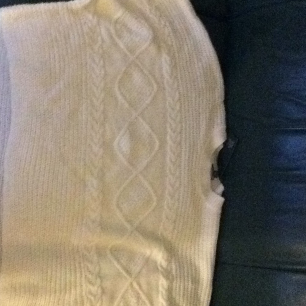 Wild fable sweater